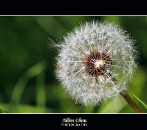 180mm看世界  有拍就貼