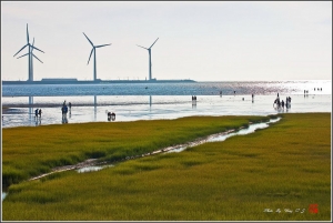 台中Wang~~再訪高美......傍晚拾景