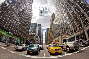 ::: NYC Under Fisheye 魚眼下的紐約 [五] by DV :::