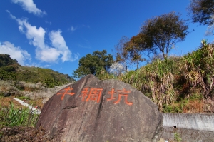 南投信義鄉 牛稠坑 賞梅～