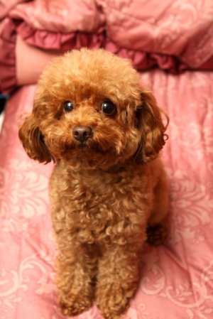 宅男半夜來PO圖之~都是M~~千萬別點!