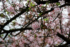 0318之爆多人的天元宮