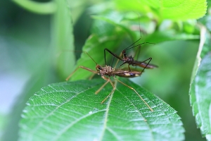 18限~限制級的喔~