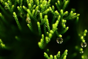 Micro看世界