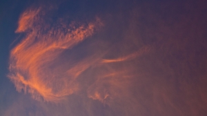 ☆★浴火鳳凰☆★