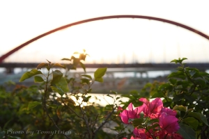 老梗 ~~ 彩虹橋