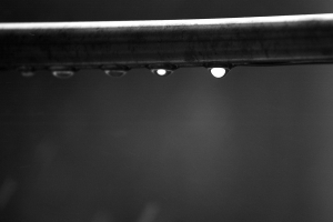 鐵窗上的雨滴