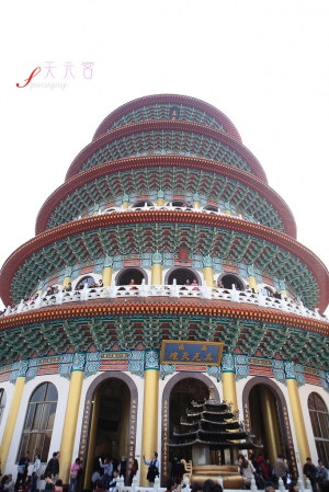 遲來的第二場櫻花戀