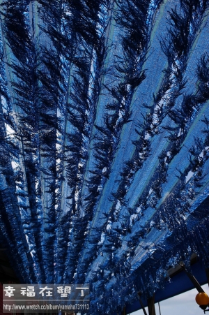 幸福在墾丁-第一天(很棒的旅行)