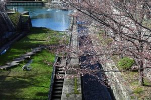 Kyoto, Japan - 桜の降りしきる京都 - VOL 1.4 - 平安神宮