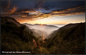 一日將盡@毒魔兔