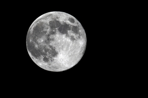 月是故鄉圓_異地故鄉月