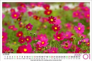 2008年生態月曆分享