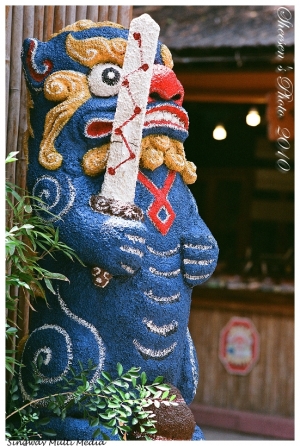 劍獅蒐奇/2007-2010劍獅大集合