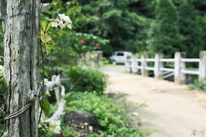 20110724~卓蘭 岩川 ^　^