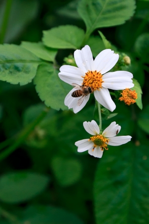平淡中找樂趣@三峽