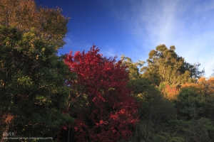 台14甲線，翠峰日落美景