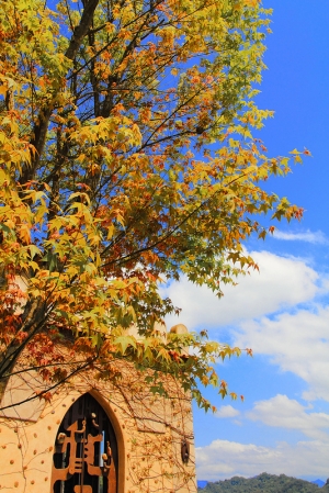 苗栗--天空之城[一張流]