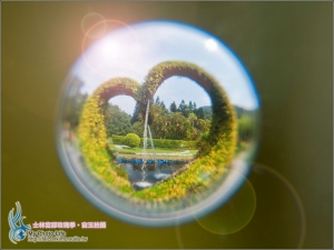 士林官邸玫瑰季‧宙玉