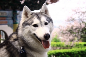 ki ki 比花更美麗^^