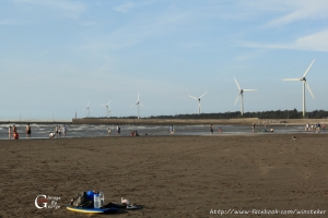 假日的。。假日之森。。。