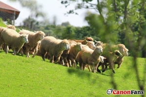 【CF風景篇2012年5月份優秀作品賞析】