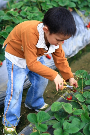 小剪刀手 @ 勝興車站 (2/3)