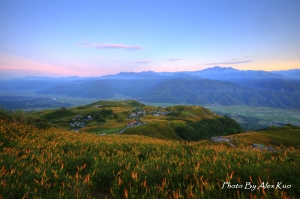 六十石山金針花HDR