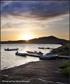 社子夕暮@毒魔兔