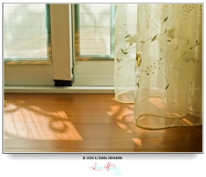 新的好伙伴 Olympus E330。植物園初試啼聲