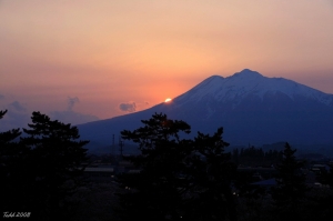 日本 東北與北海道 花見之旅 - 弘前城 - 夕陽 . 夜櫻 20080428