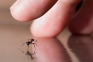 太麻里金針山一天半趴趴照(牢騷文多，歹勢啦!)
