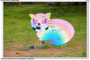 沒荔枝的荔枝園 + 沒在跑的火車