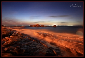 沒出景的龜吼兩張