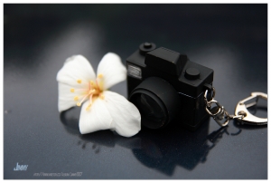 湖口‧四月雪（金獅步道 + 仁和步道）