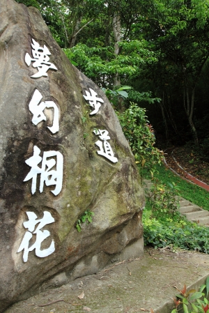 ++ 索羅門 苗栗頭屋~夢幻桐花步道 ++