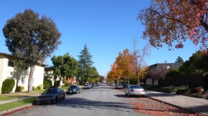 春天 秋天 傻傻分不清楚