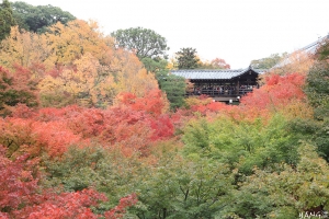 京都東福寺
