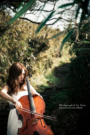 大提琴音樂會海報