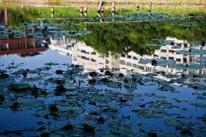 鳥松溼地公園一遊