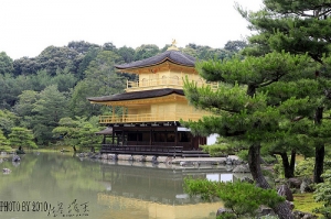 消失台灣的五天 - 京都大阪櫻花妹