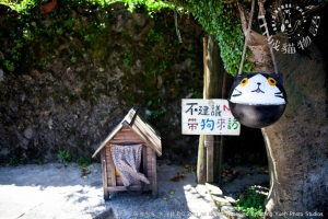 山城貓物語(猴硐)II