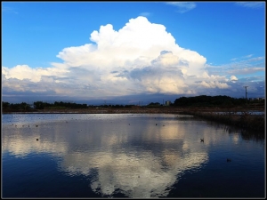 田野間的藍天白雲