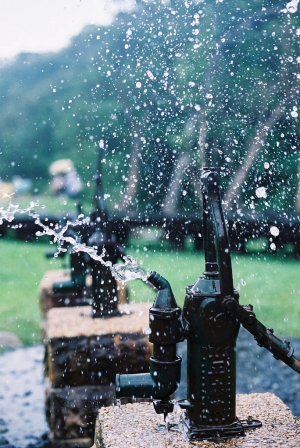 2008 草嶺古道芒花季