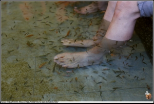 ※※八煙溫泉泡湯去---蛋拔