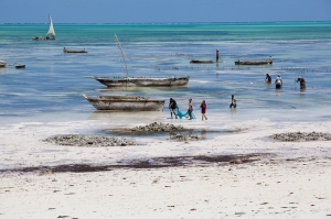東非海上美麗珍珠．桑吉巴