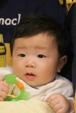 豬寶寶今天去剪毛了[28-70mm]