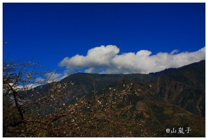 塔塔加兼賞梅(二)