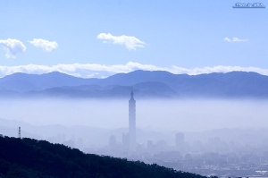 080120 茶花展+官邸隨拍(圖多)