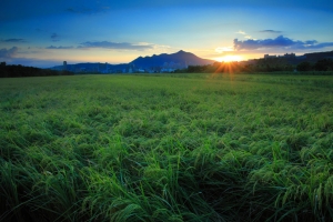 關渡平原練黑卡